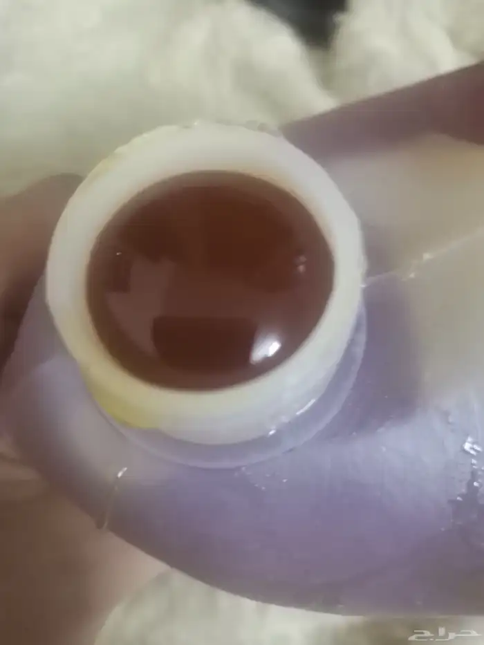 عسل سدر جبلي من منطقة رم عسل طيب وصافي 0