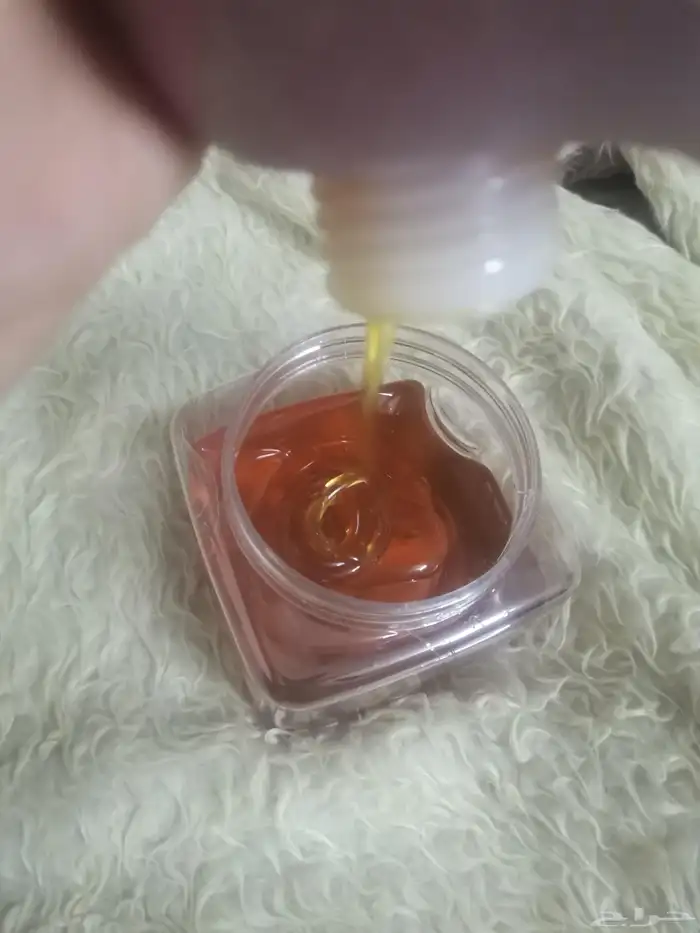 عسل سدر جبلي من منطقة رم عسل طيب وصافي 3