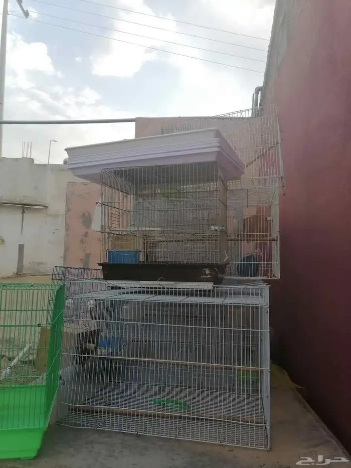اقفاص طيور زينة مستعملة للبيع 0