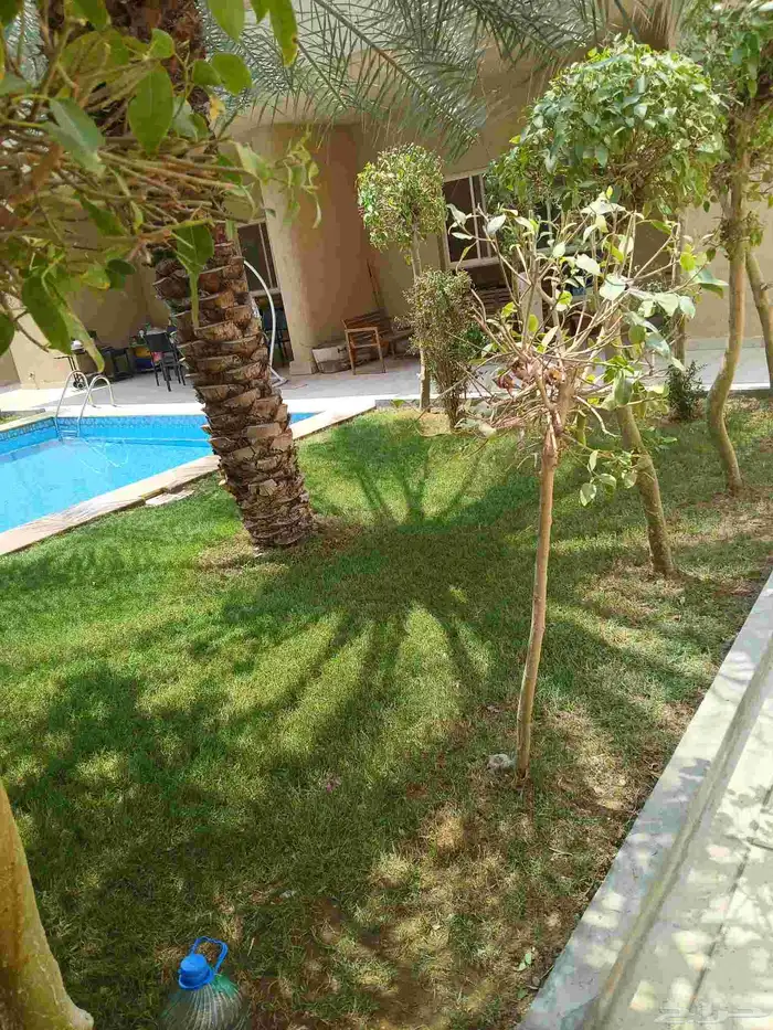 مشتل تنسيق حدائق ربيع الزهور والاشجار والتيل 0