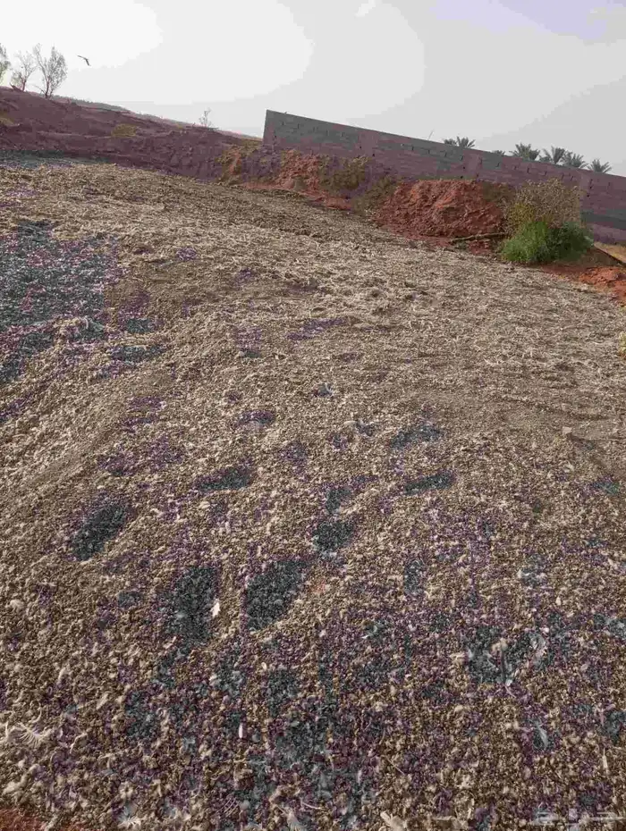 متوفر سماد حمام 0