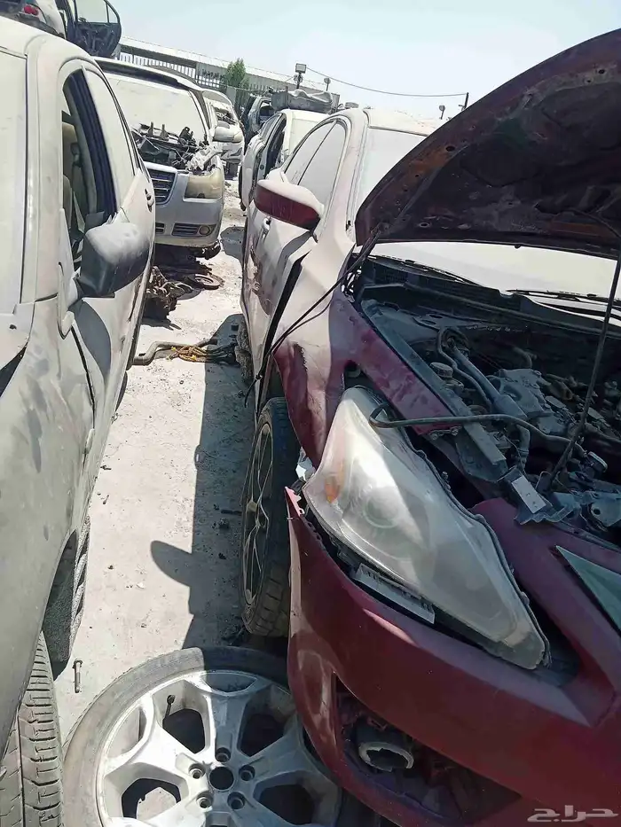 نيسان التيما 2016 1