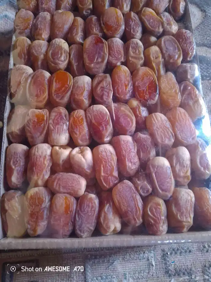 سلام عليكم اليوم عندنا اتمر صقعي حب طيب 1