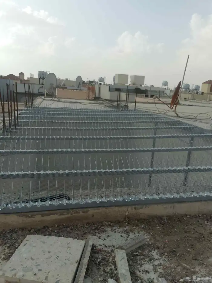 طاردوالحمام تركيب غطاء مكفت شبابيك شوك 1