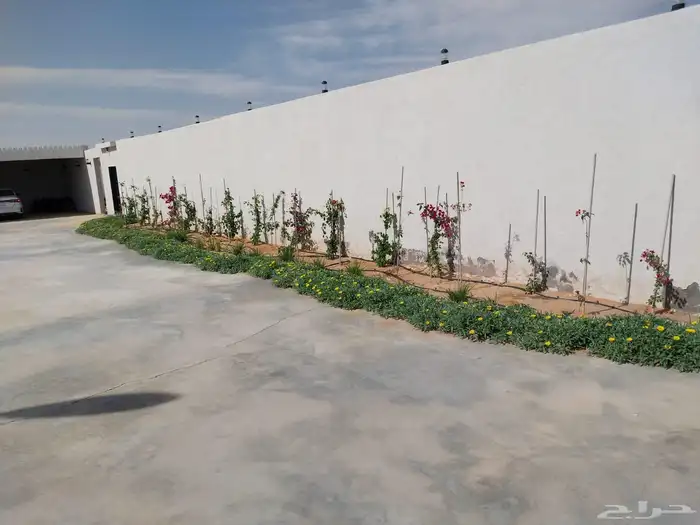 مشتل تنسيق حدائق ربيع الزهور والاشجار والتيل 1