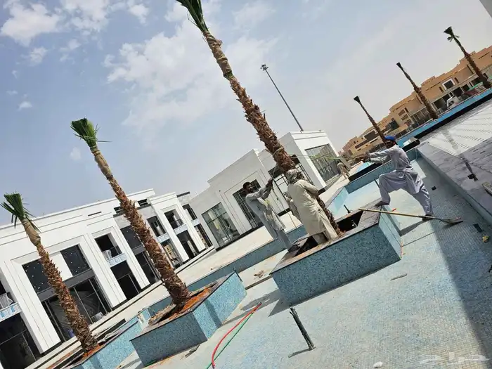 مشتل تنسيق حدائق ربيع الزهور والاشجار والتيل 3