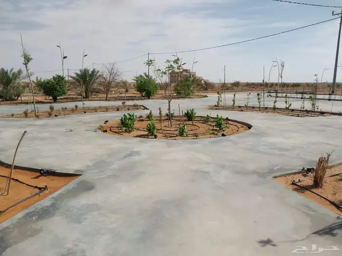 مشتل تنسيق حدائق ربيع الزهور والاشجار والتيل 2