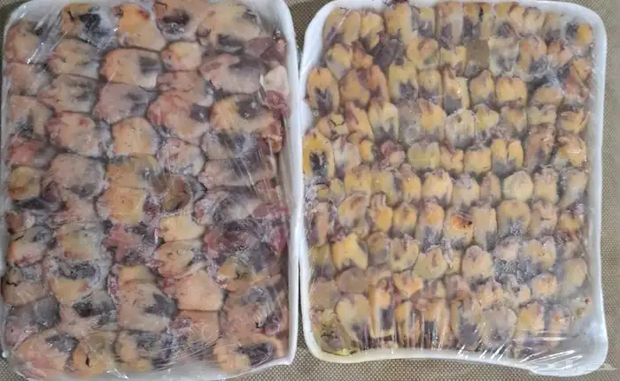 طيور الدخل  . . 2