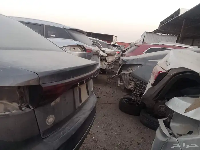 شيري تيجوا 7 2