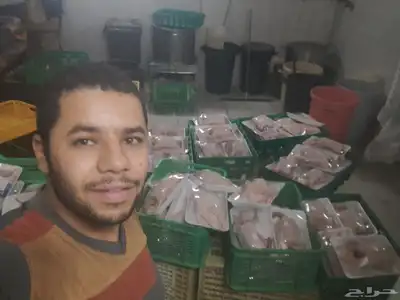 مساول وسلخ دجاج حمام بط ارانب index