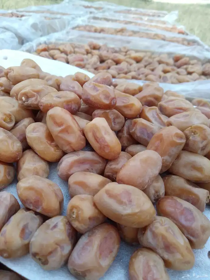 يوجد لدينا تمور فاخره للبيع اخلاص 2
