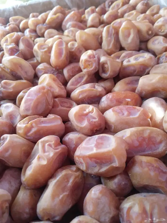 يوجد لدينا تمور فاخره للبيع اخلاص 7