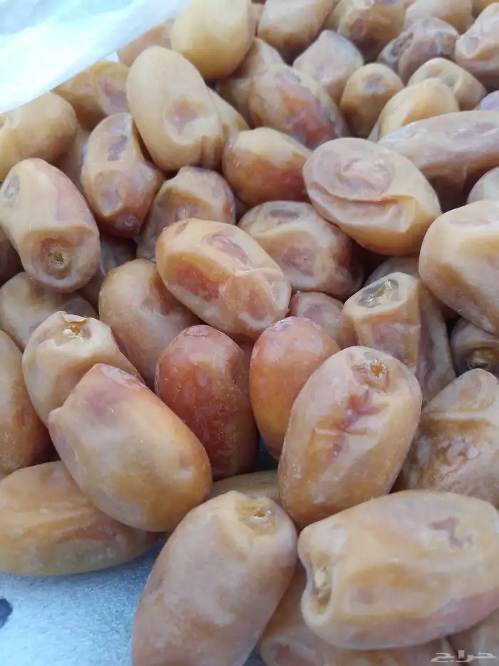 يوجد لدينا تمور فاخره للبيع اخلاص 1