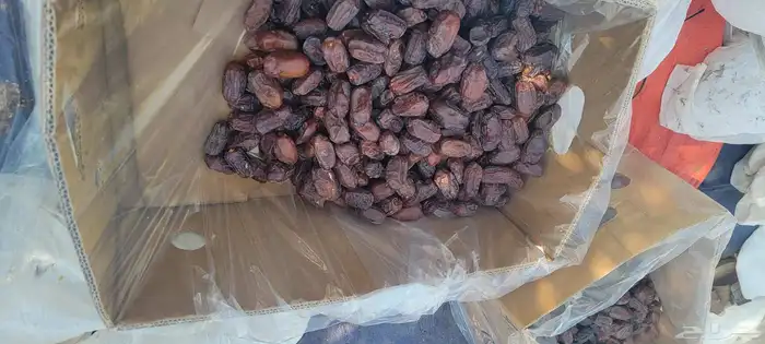 السلام عليكم يوجد لدينا خضر ي فاخر 0