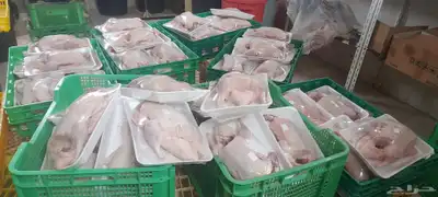 مساول وسلخ دجاج حمام بط ارانب index