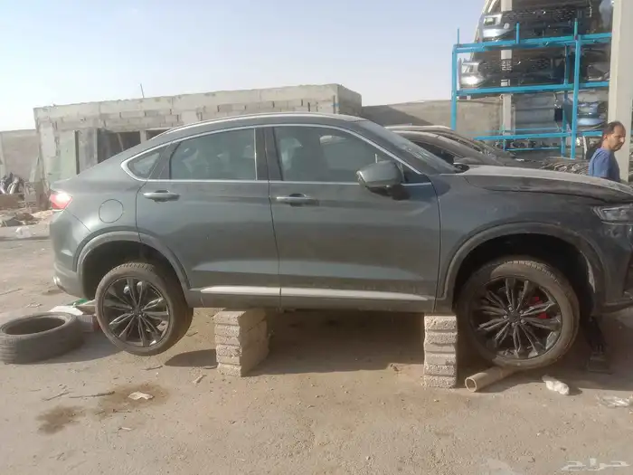 جيلي توجيلا 2022 3