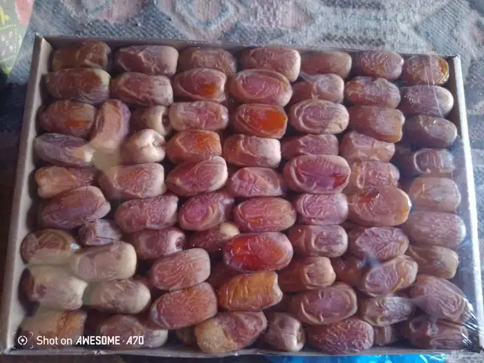 سلام عليكم اليوم عندنا اتمر صقعي حب طيب 0