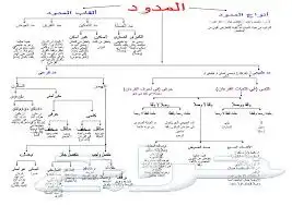 معلم تأسيس وقران وتجويد وقراءات للأطفال وكبار السن 3