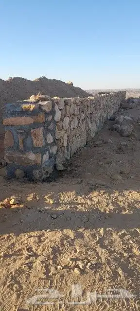 يوجد لدينا عمال صرام ومنقي بلكرتون وقلع فروخ وتكريب وبنا حجر 3