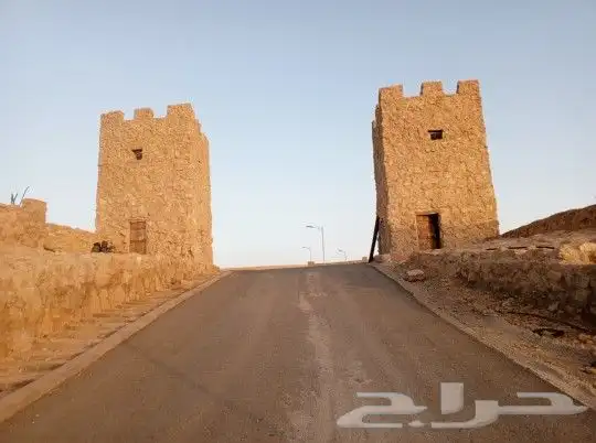 يوجد لدينا عمال صرام ومنقي بلكرتون وقلع فروخ وتكريب وبنا حجر 1