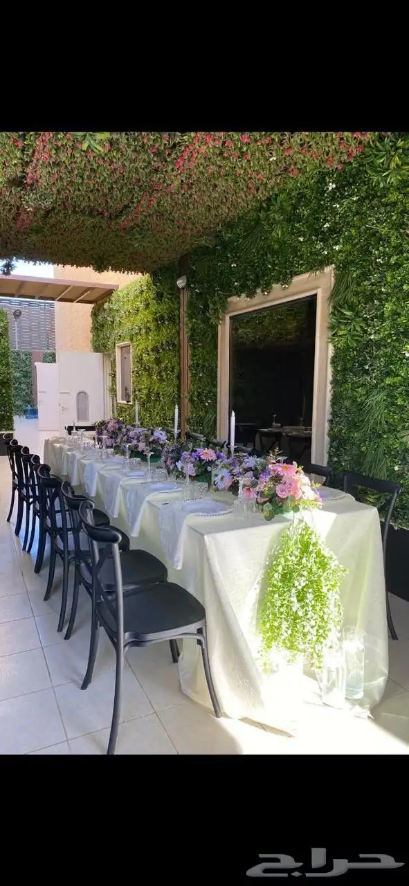 كراسي شفاف ايجار 2