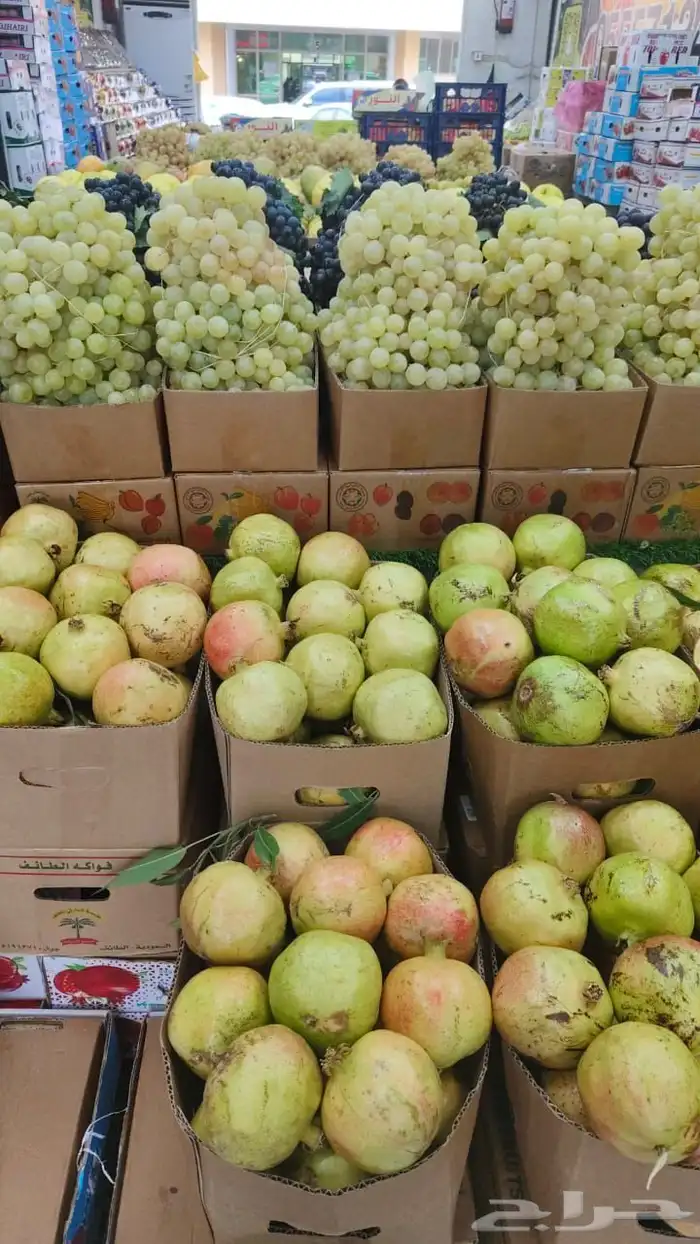 فواكه الطائف توصيل طلبات جده مكه الرياض 2