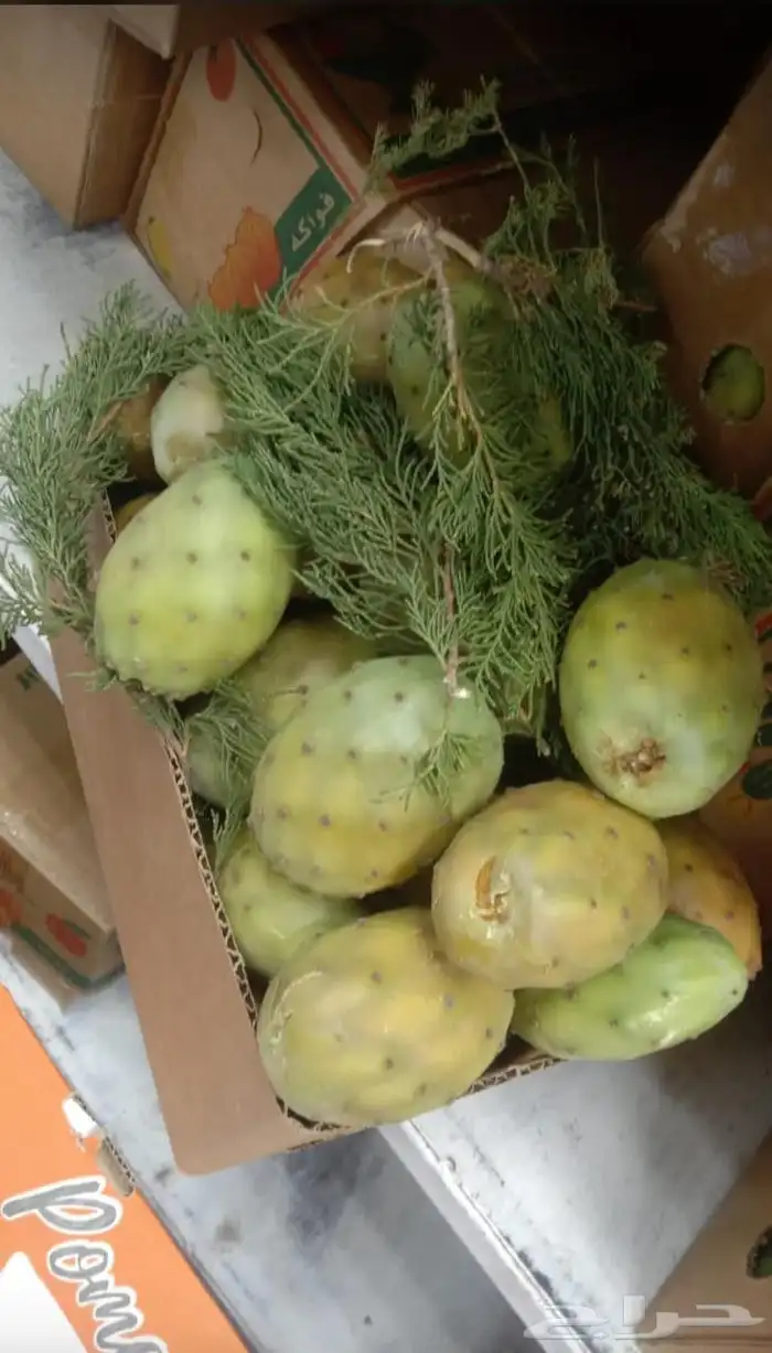 فواكه الطائف توصيل طلبات جده مكه الرياض 4