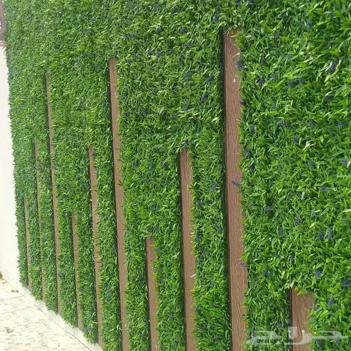 تنسيق حدائق جدة 2