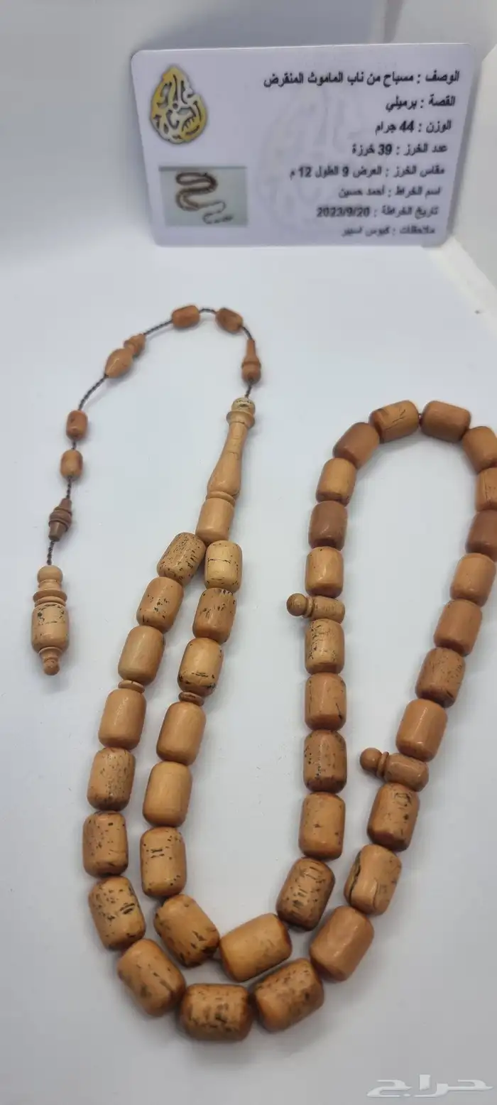 مسباح من ناب الماموث 5