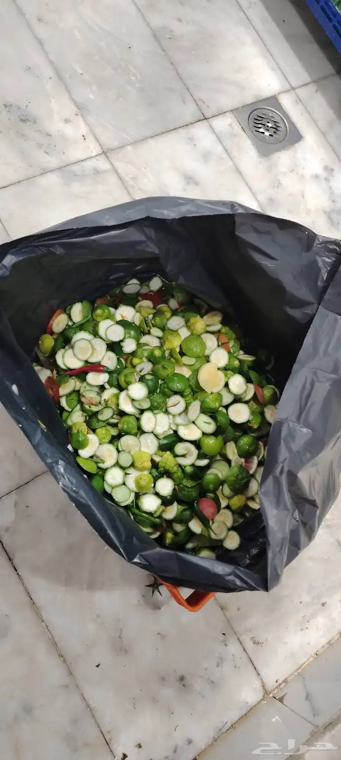 عندي شوايل فاضيه من حق الرز 40 كيلو للبيع وعندي تنك زيت فاضي 7