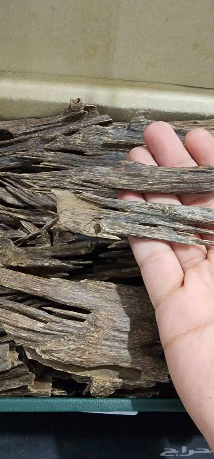 مزاد عود طبيعي مروكي  هندي وغيرها 7