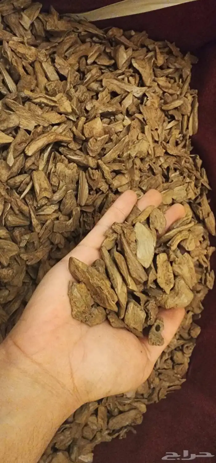 مزاد عود طبيعي مروكي  هندي وغيرها 8