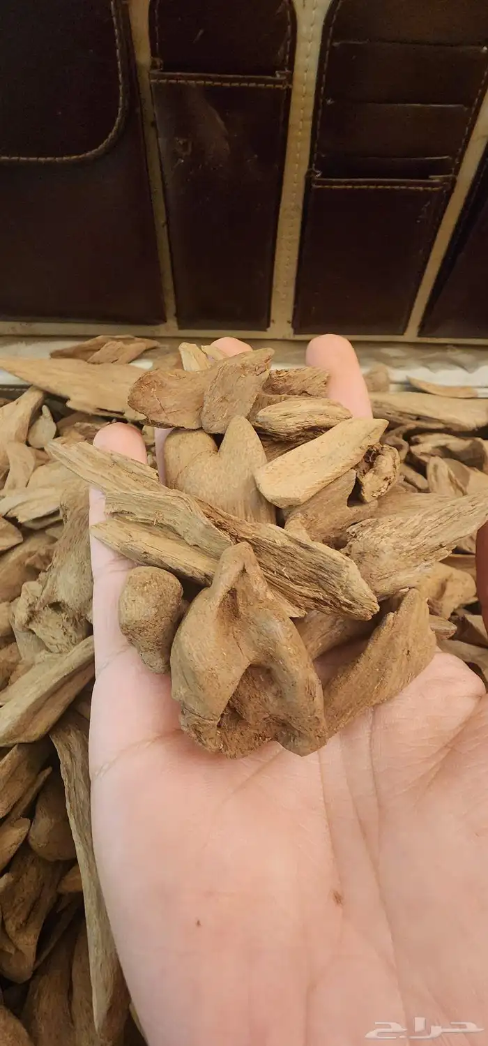 مزاد عود طبيعي مروكي  هندي وغيرها 2