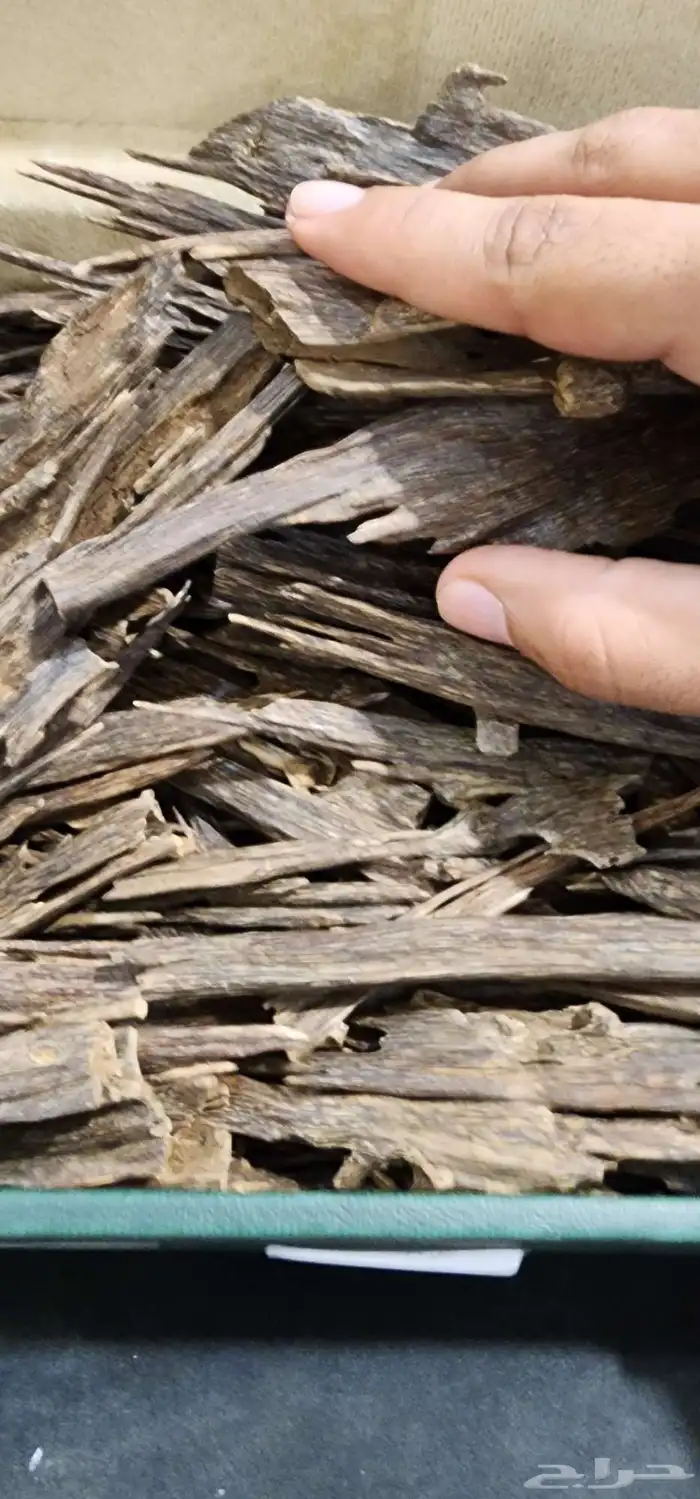 مزاد عود طبيعي مروكي  هندي وغيرها 6