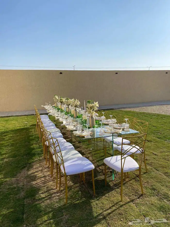 كراسي شفاف ايجار 1