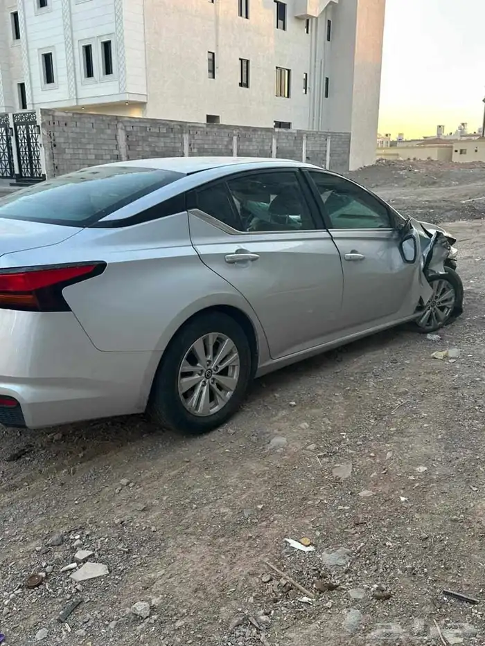 التيما 2020 2