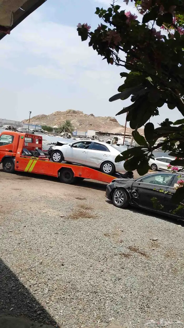 سطحات جدة سطحة جدة 0