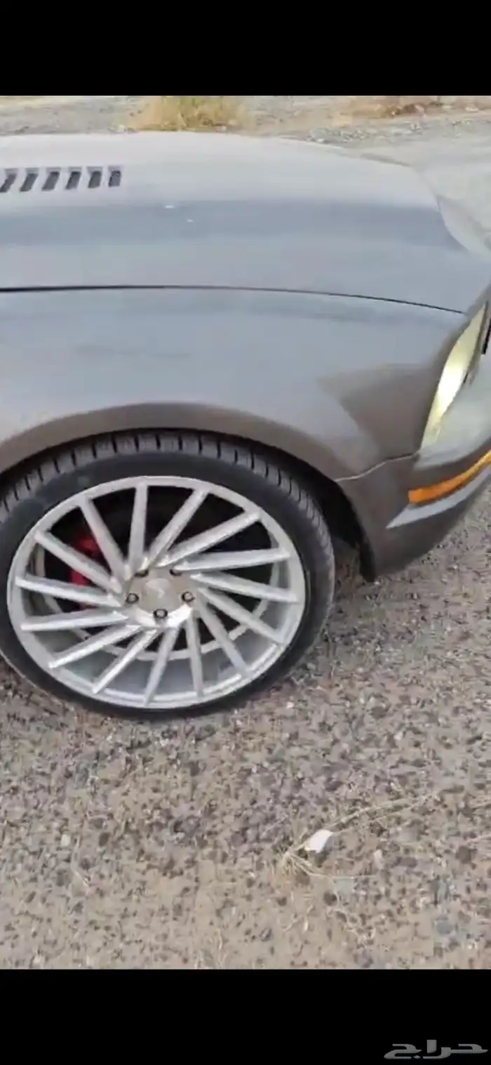 موستنج موديل 2006 6