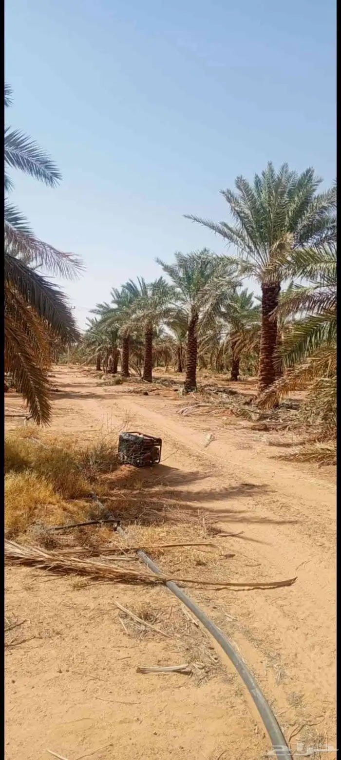 سلام عليكم ورحمه الله وبركاته وبعد نحن مؤسسه مقاولات عامه نق 0