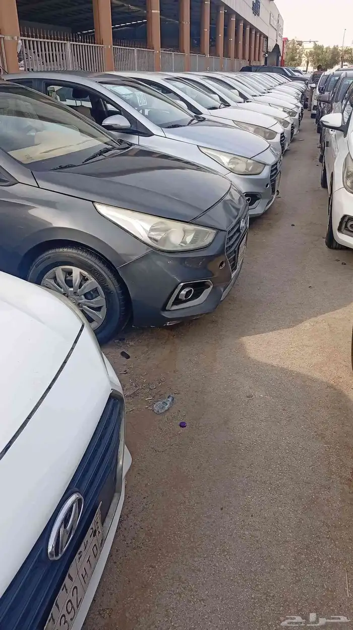 اكسنت العدد 12 للبيع 4