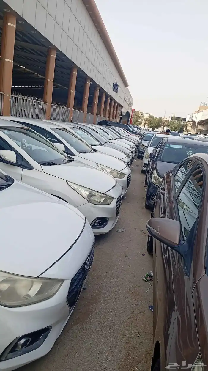 اكسنت العدد 12 للبيع 2