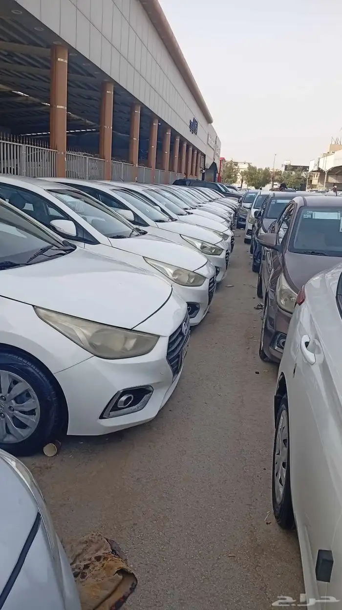 اكسنت العدد 12 للبيع 0