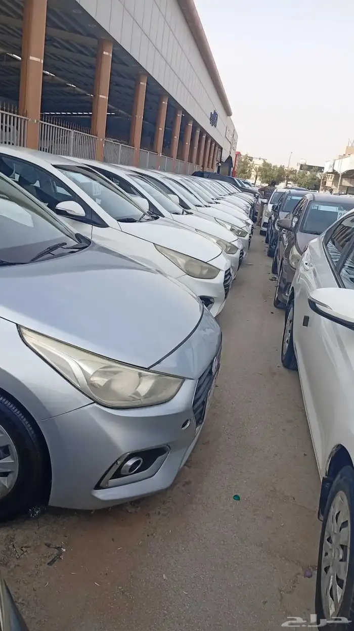 اكسنت العدد 12 للبيع 3