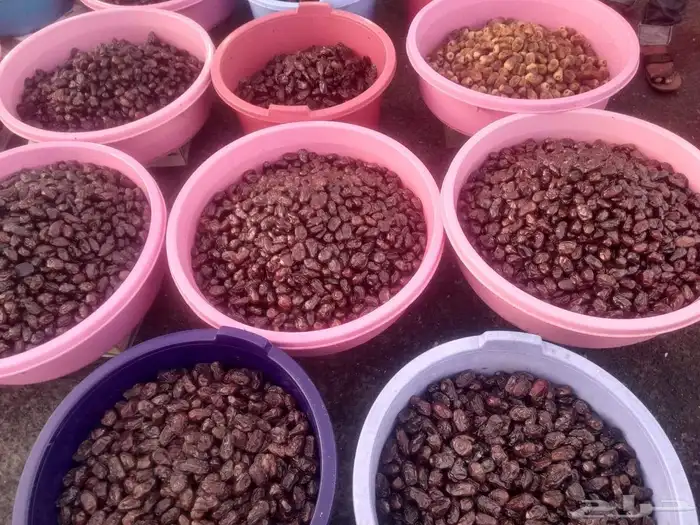 تمور حائل الفاخره 2