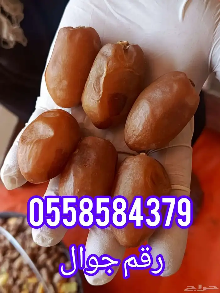 تمر خلاص فاخر للبيع ماشاءالله تبارك الله تمر كبير 0