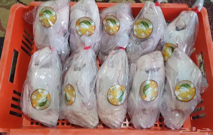 بط بكيني مذبوح وحي 3