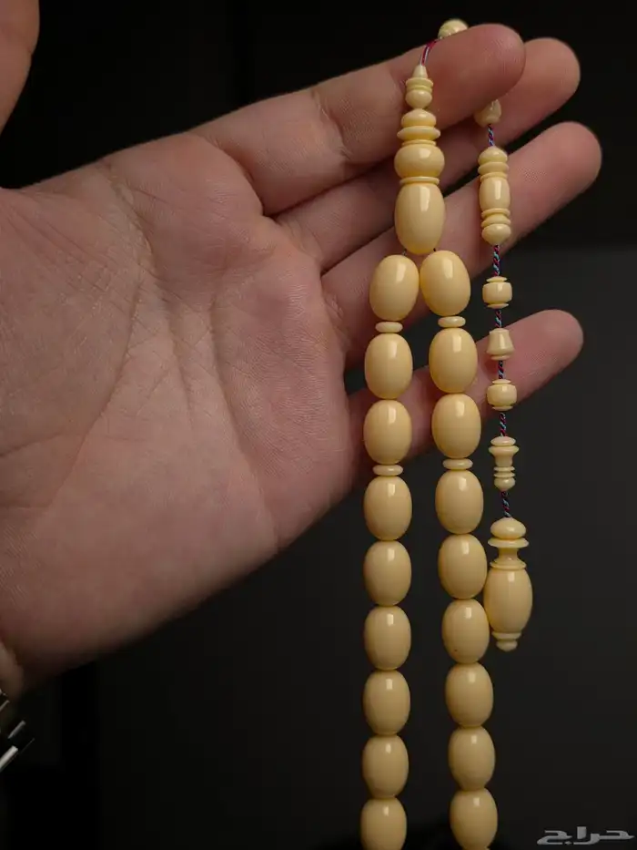 دومنة مشمشي 2