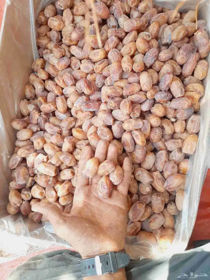 تمر اخلاص اللبيع توصيل وتساب 1