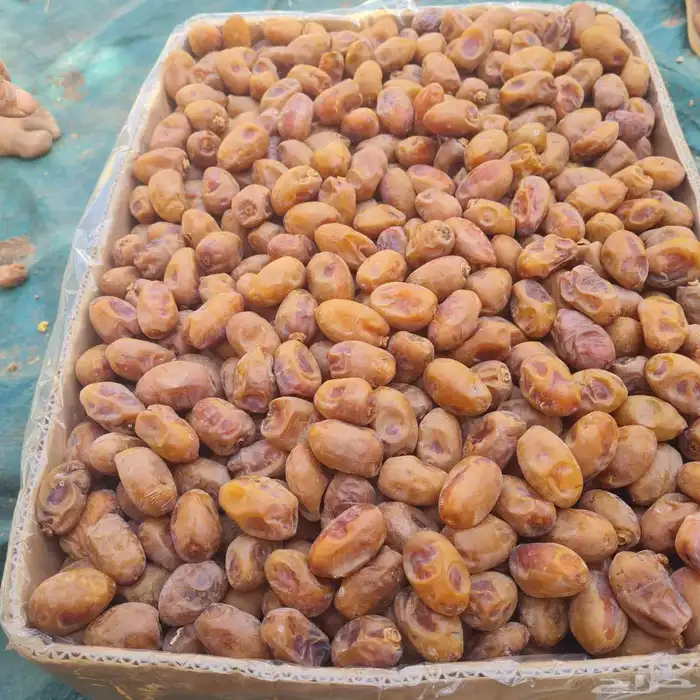 يوجد الدينا خلاص اشيقر ألكميه 50طن تقريبا 0