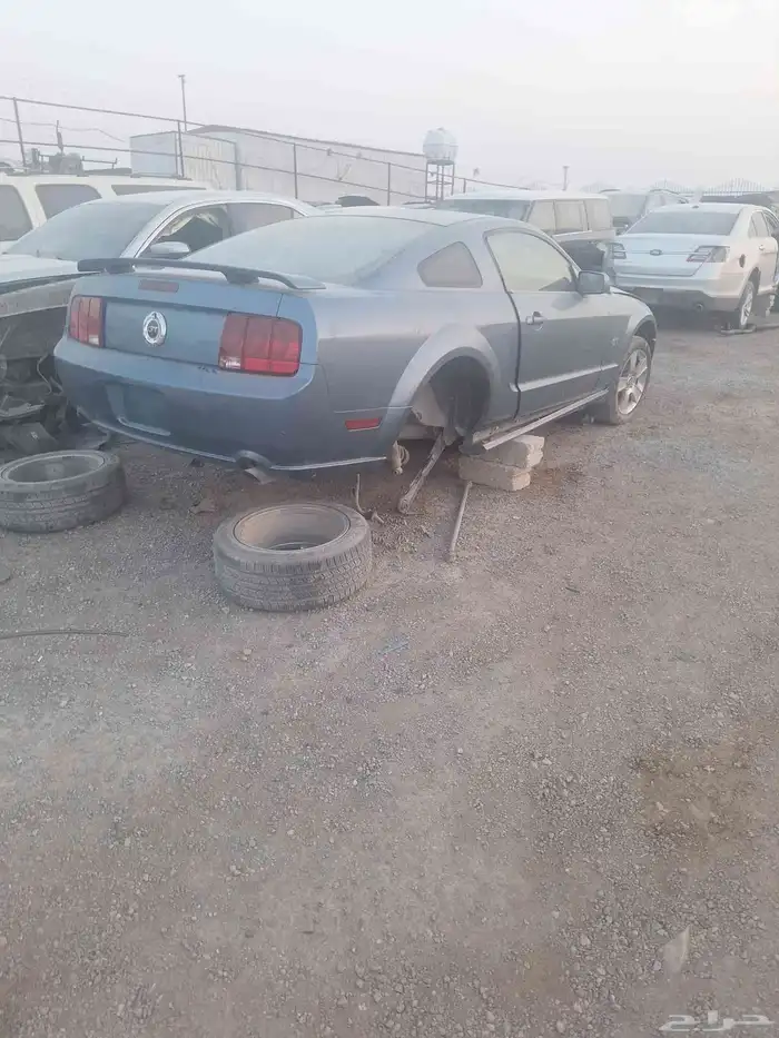 موستنج تيشليح 1